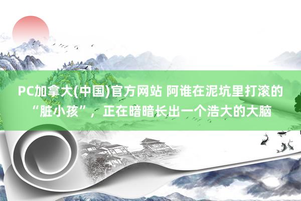 PC加拿大(中国)官方网站 阿谁在泥坑里打滚的“脏小孩”，正在暗暗长出一个浩大的大脑