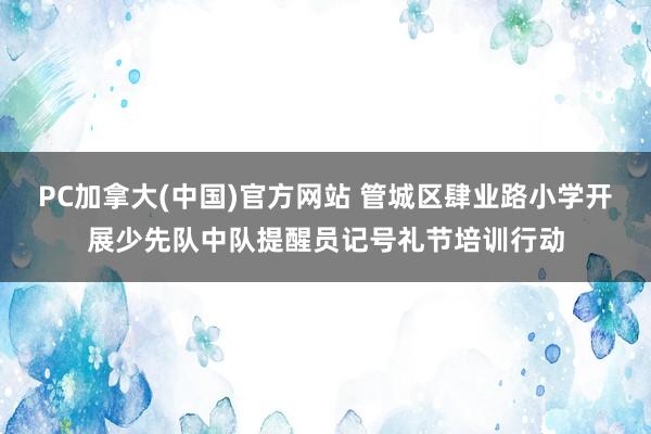 PC加拿大(中国)官方网站 管城区肆业路小学开展少先队中队提醒员记号礼节培训行动