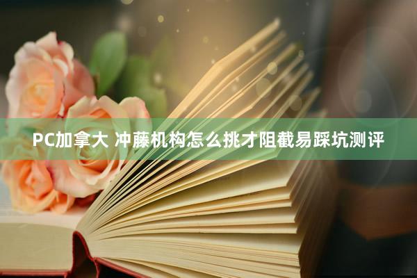 PC加拿大 冲藤机构怎么挑才阻截易踩坑测评