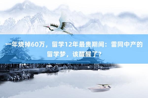 一年烧掉60万，留学12年最贵期间：雷同中产的留学梦，该醒醒了？