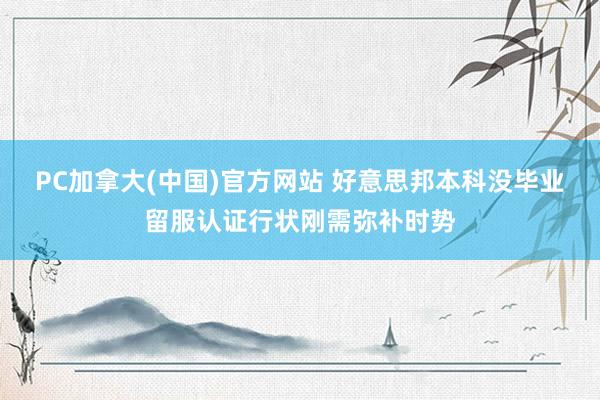 PC加拿大(中国)官方网站 好意思邦本科没毕业留服认证行状刚需弥补时势