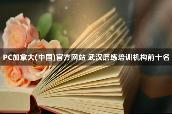 PC加拿大(中国)官方网站 武汉磨练培训机构前十名