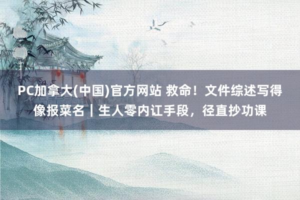 PC加拿大(中国)官方网站 救命！文件综述写得像报菜名｜生人零内讧手段，径直抄功课
