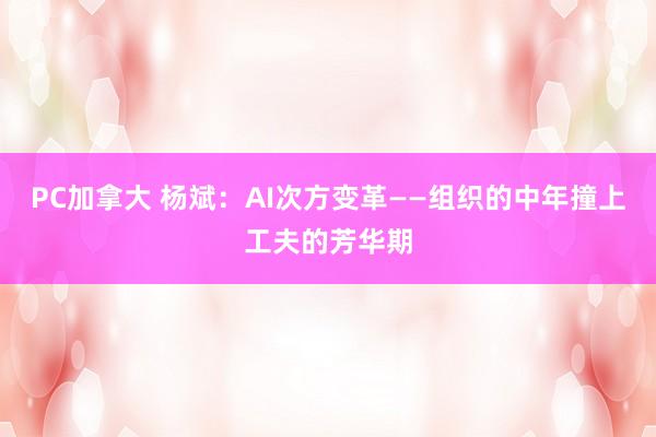 PC加拿大 杨斌：AI次方变革——组织的中年撞上工夫的芳华期