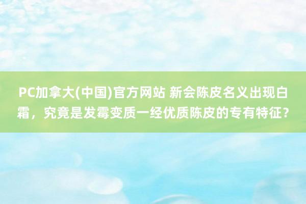 PC加拿大(中国)官方网站 新会陈皮名义出现白霜，究竟是发霉变质一经优质陈皮的专有特征？