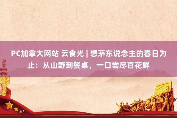 PC加拿大网站 云食光 | 想茅东说念主的春日为止：从山野到餐桌，一口尝尽百花鲜
