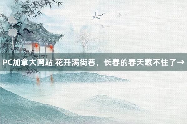 PC加拿大网站 花开满街巷，长春的春天藏不住了→