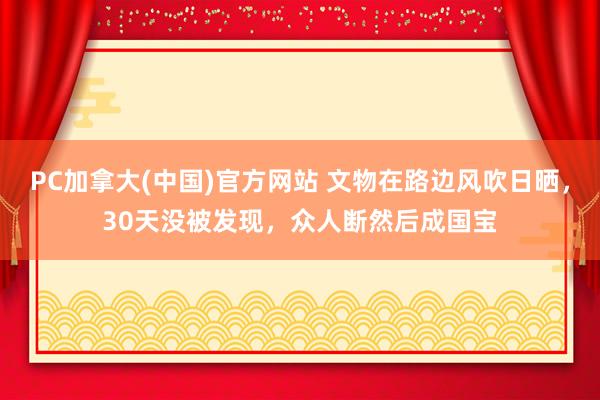 PC加拿大(中国)官方网站 文物在路边风吹日晒，30天没被发现，众人断然后成国宝