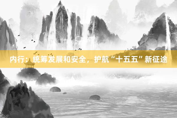 内行：统筹发展和安全，护航“十五五”新征途
