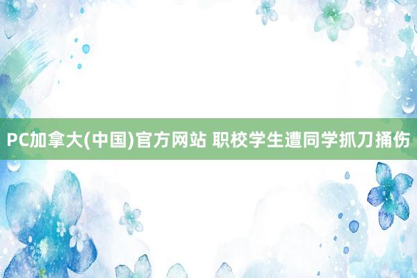 PC加拿大(中国)官方网站 职校学生遭同学抓刀捅伤