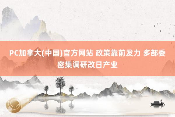 PC加拿大(中国)官方网站 政策靠前发力 多部委密集调研改日产业