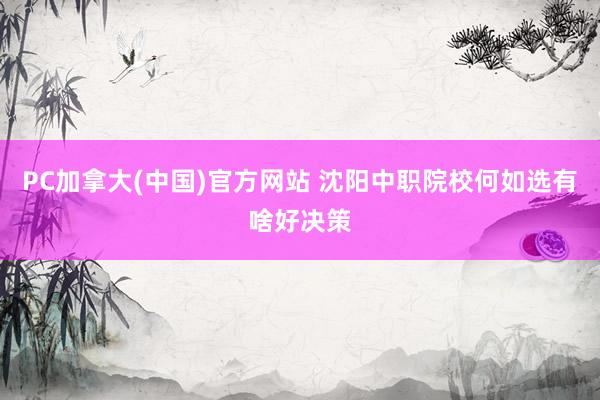 PC加拿大(中国)官方网站 沈阳中职院校何如选有啥好决策