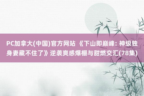 PC加拿大(中国)官方网站 《下山即巅峰: 神级独身妻藏不住了》逆袭爽感爆棚与甜燃交汇(78集)