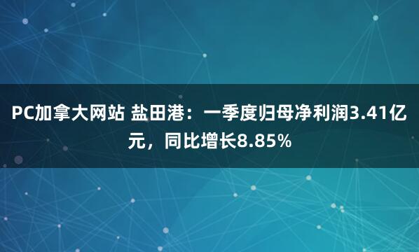 PC加拿大网站 盐田港：一季度归母净利润3.41亿元，同比增长8.85%
