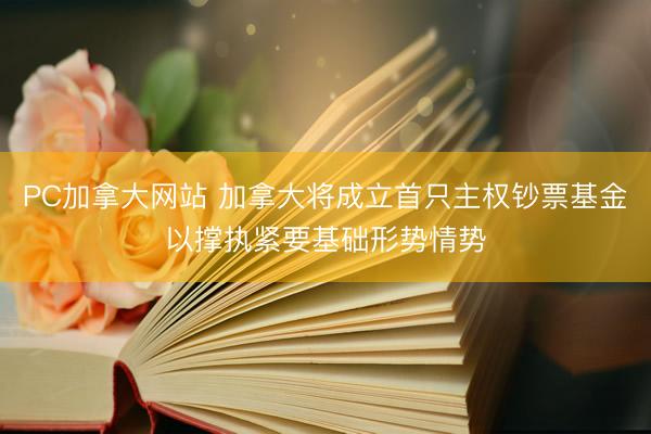 PC加拿大网站 加拿大将成立首只主权钞票基金以撑执紧要基础形势情势