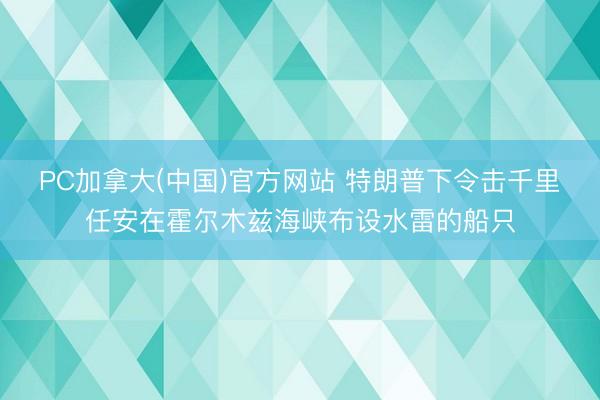 PC加拿大(中国)官方网站 特朗普下令击千里任安在霍尔木兹海峡布设水雷的船只