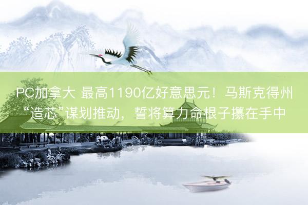PC加拿大 最高1190亿好意思元！马斯克得州“造芯”谋划推动，誓将算力命根子攥在手中