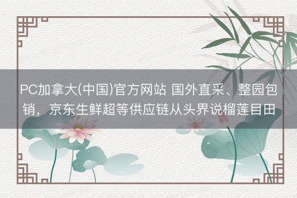 PC加拿大(中国)官方网站 国外直采、整园包销，京东生鲜超等供应链从头界说榴莲目田